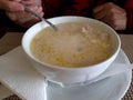 Tripe soup ciorba de burtÃÆ -a traditional Romanian dish Royalty Free Stock Photo